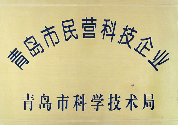 民营科技企业