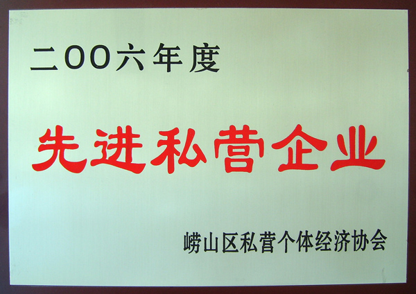 先进私营企业